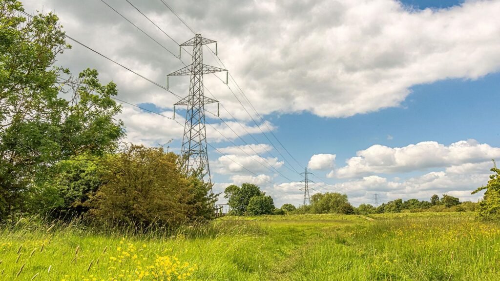 Open field with tall grass and yellow wildflowers, a lattice transmission tower and power lines stretching across a cloudy blue sky