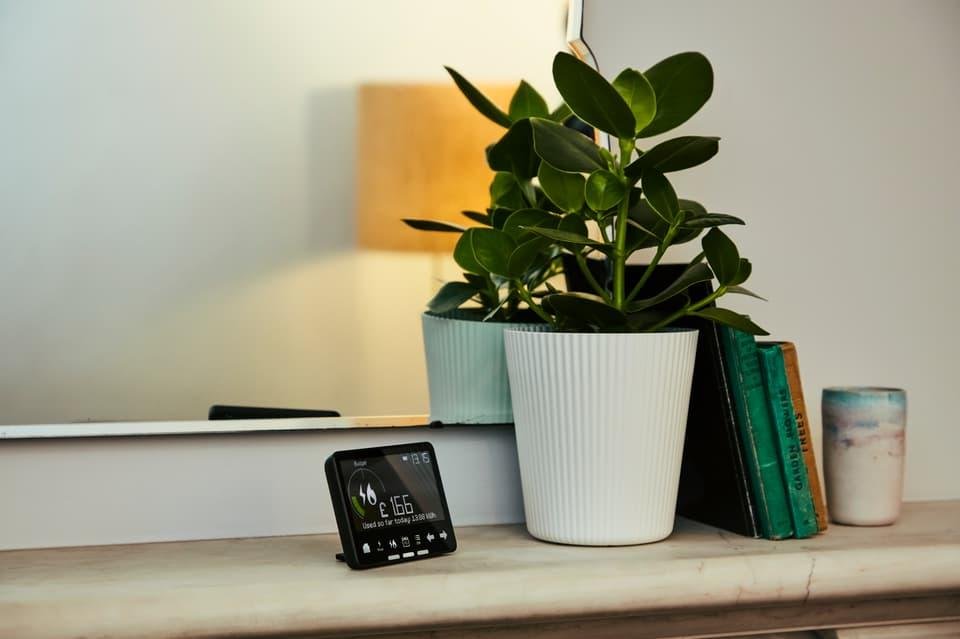 Plant in a white ribbed pot on a shelf with a small digital display, books, and a candle, reflected in a wall mirror behind it.